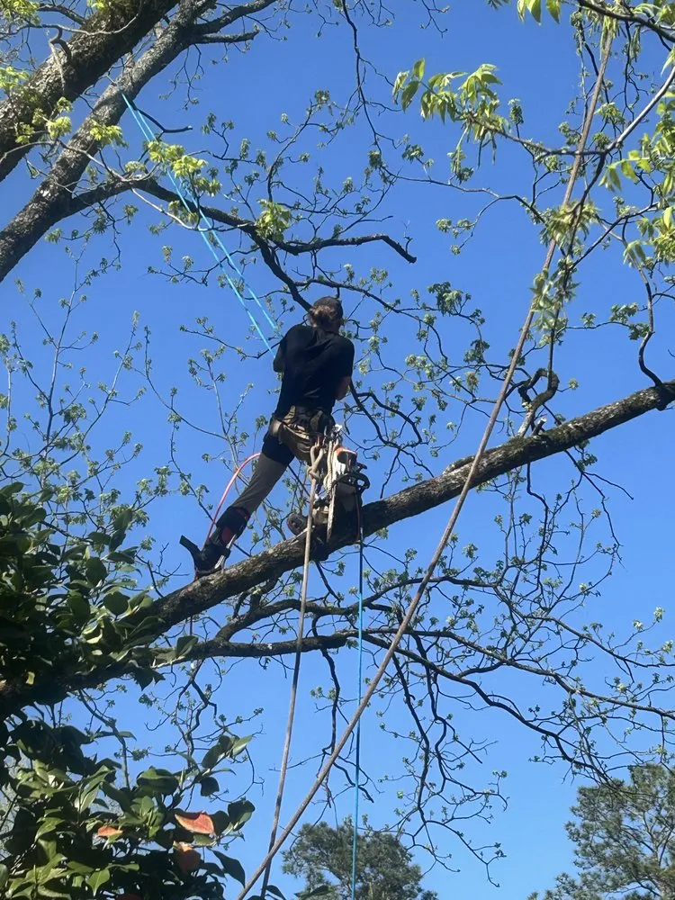 Trusted lawn mowing service experts serving Warner Robins, GA - R and K outdoor services
