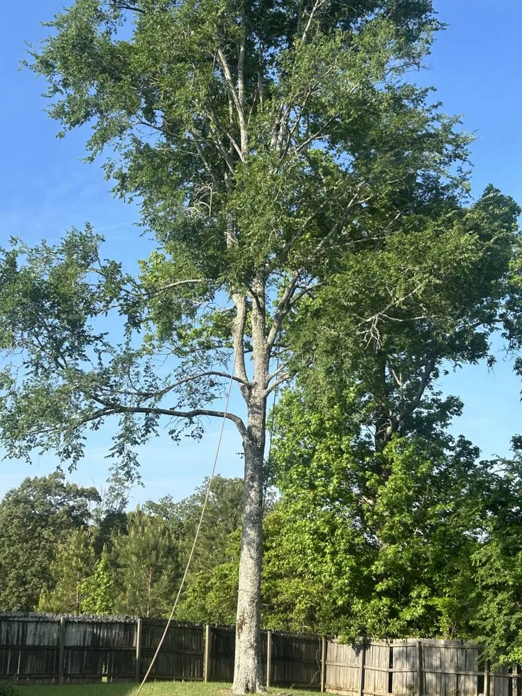 Reliable garden landscaping for homes in Warner Robins, GA by R and K outdoor services