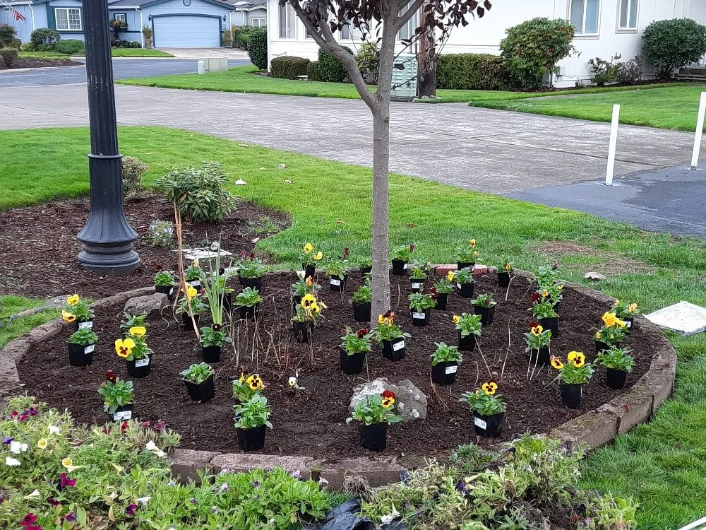 Trusted lawn mowing service in Junction City, OR - R and M Landscapes N Designs