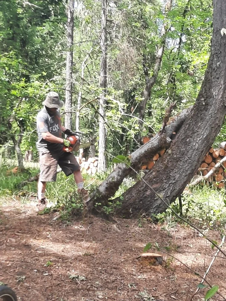 Trusted landscaping services experts serving Junction City, OR - R and M Landscapes N Designs