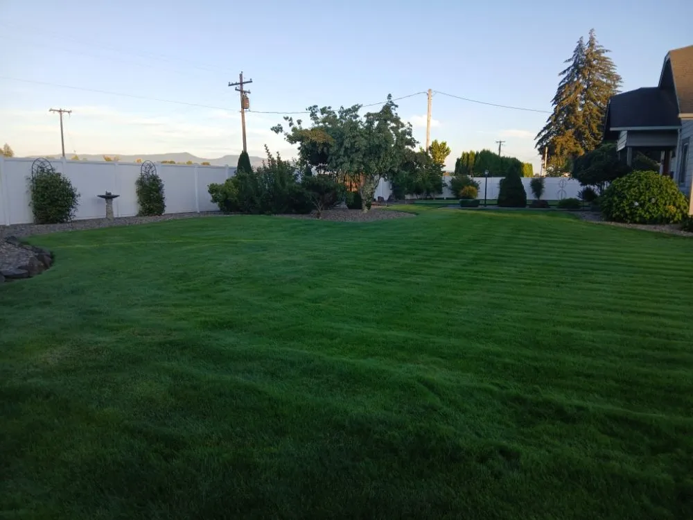 Local landscape design for outdoor upgrades in Junction City, OR by R and M Landscapes N Designs