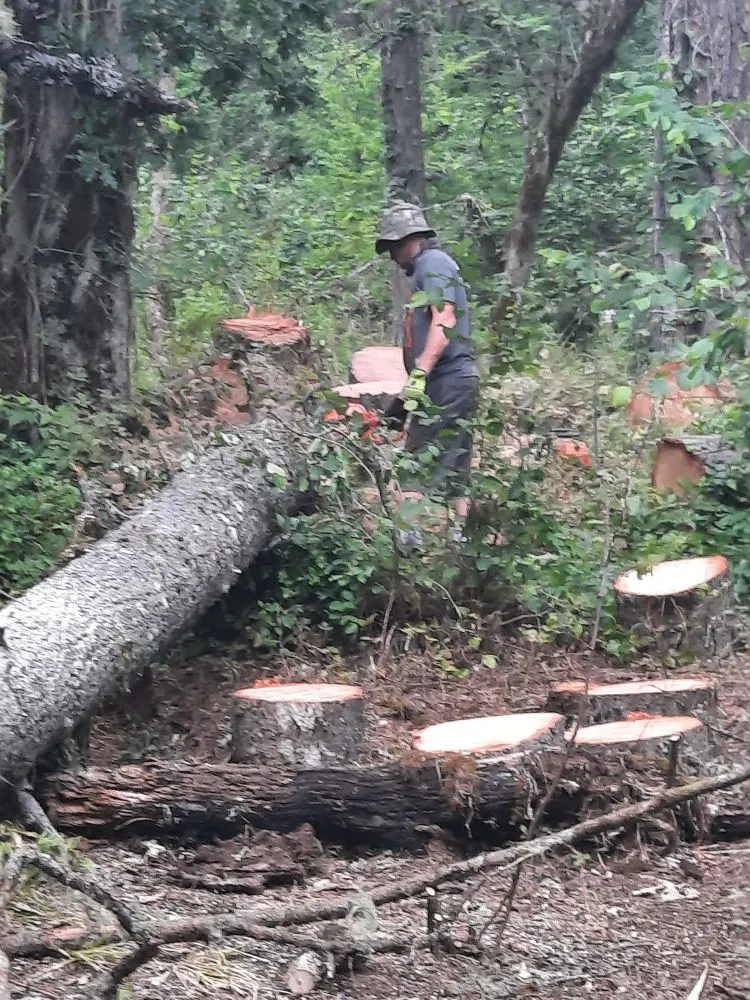 Top-rated garden landscaping in Junction City, OR by R and M Landscapes N Designs