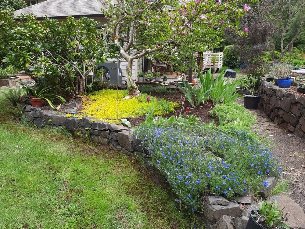 Professional garden landscaping in Junction City, OR - R and M Landscapes N Designs