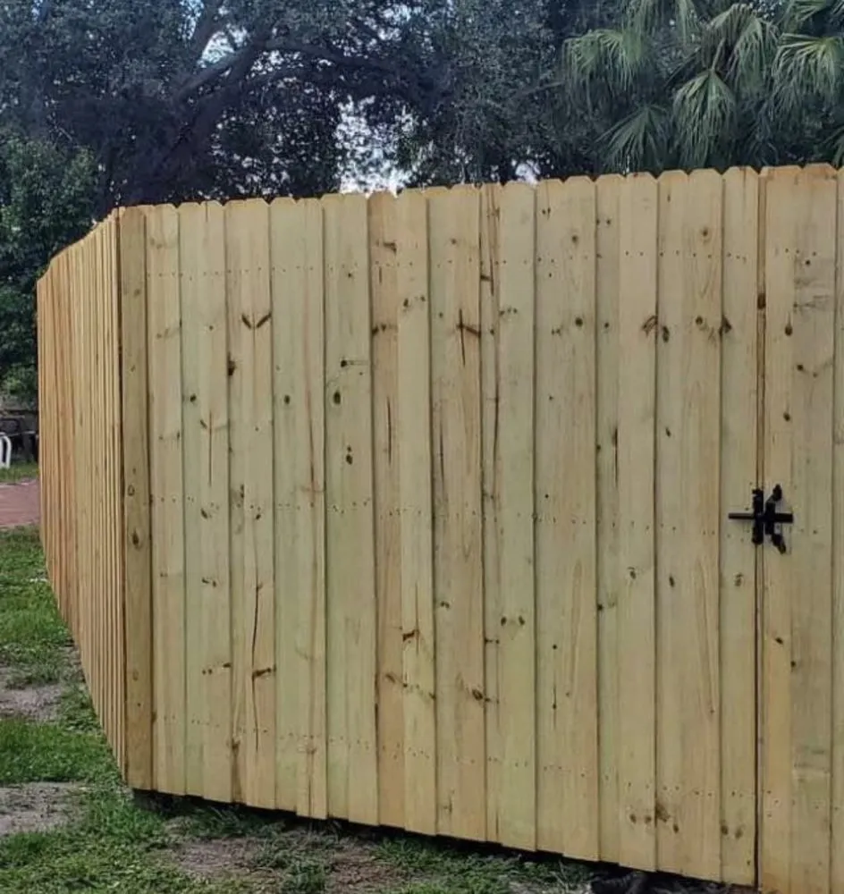 Local yard cleanup service experts serving St. Petersburg, FL - R and M Lawn & Landscaping