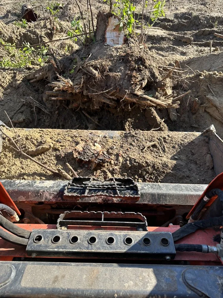 Trusted garden landscaping in tallahassee, FL - R And M Lawn And Land Services