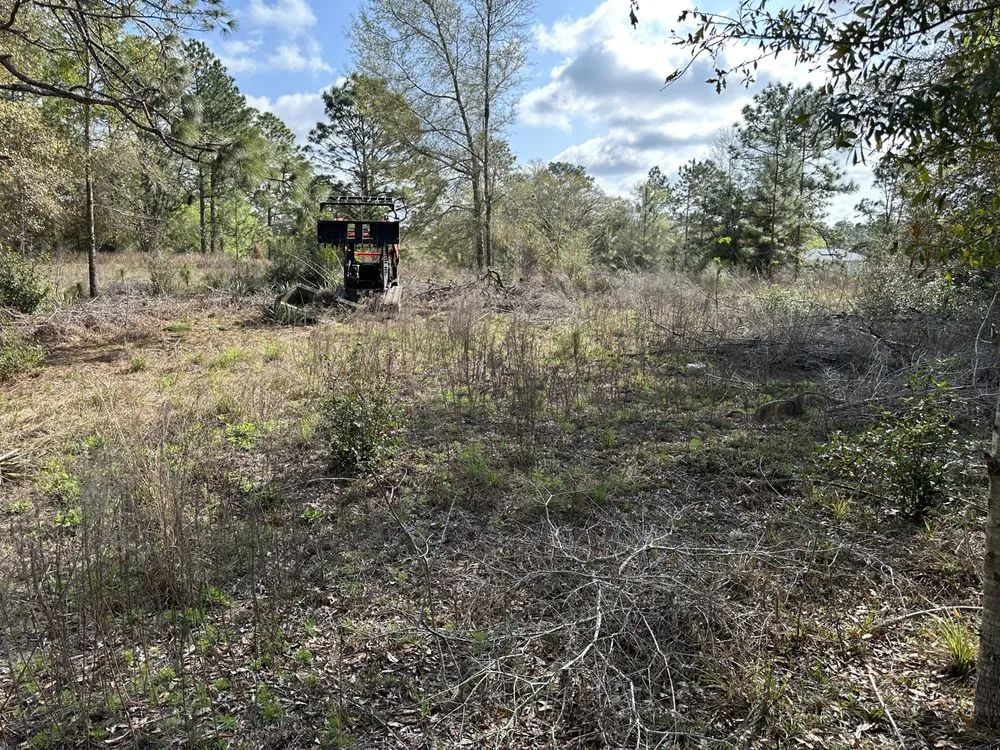Affordable lawn care service for residential properties across tallahassee, FL - R And M Lawn And Land Services