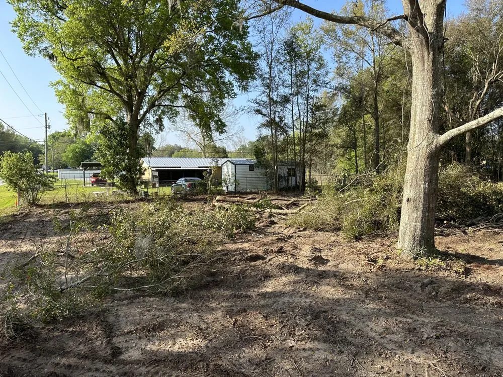 Local landscape design in tallahassee, FL by R And M Lawn And Land Services