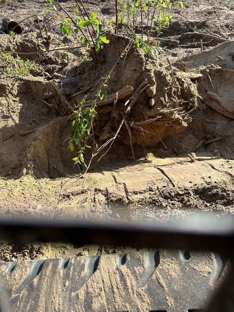 Professional yard cleanup service in tallahassee, FL - R And M Lawn And Land Services