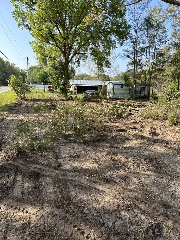 Trusted yard maintenance in tallahassee, FL - R And M Lawn And Land Services