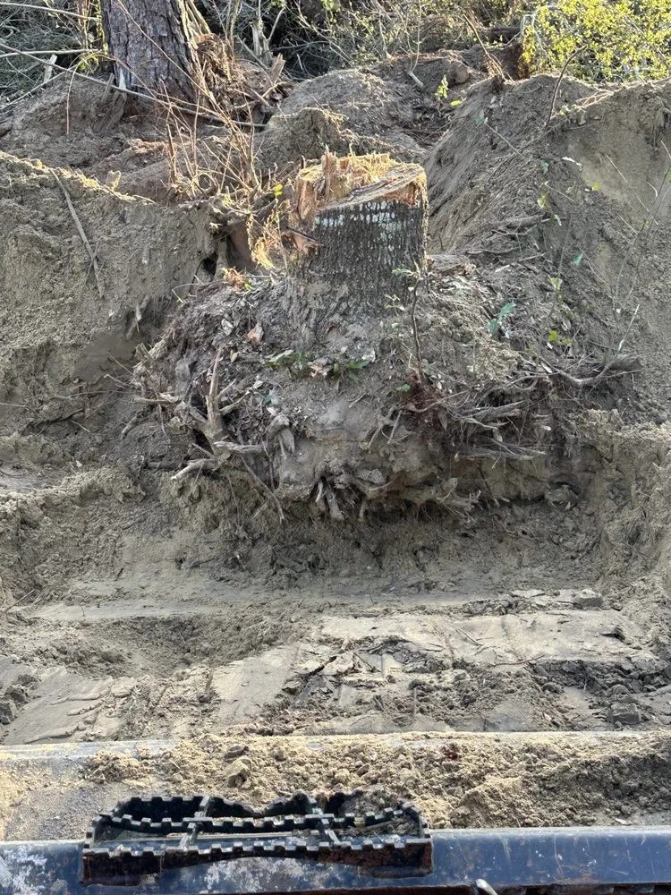 Professional yard maintenance in tallahassee, FL by R And M Lawn And Land Services