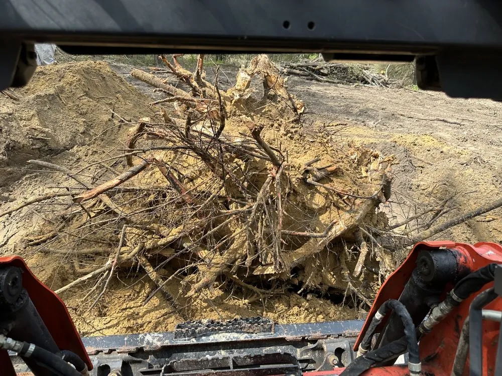 Professional outdoor landscaping for residential properties in tallahassee, FL by R And M Lawn And Land Services