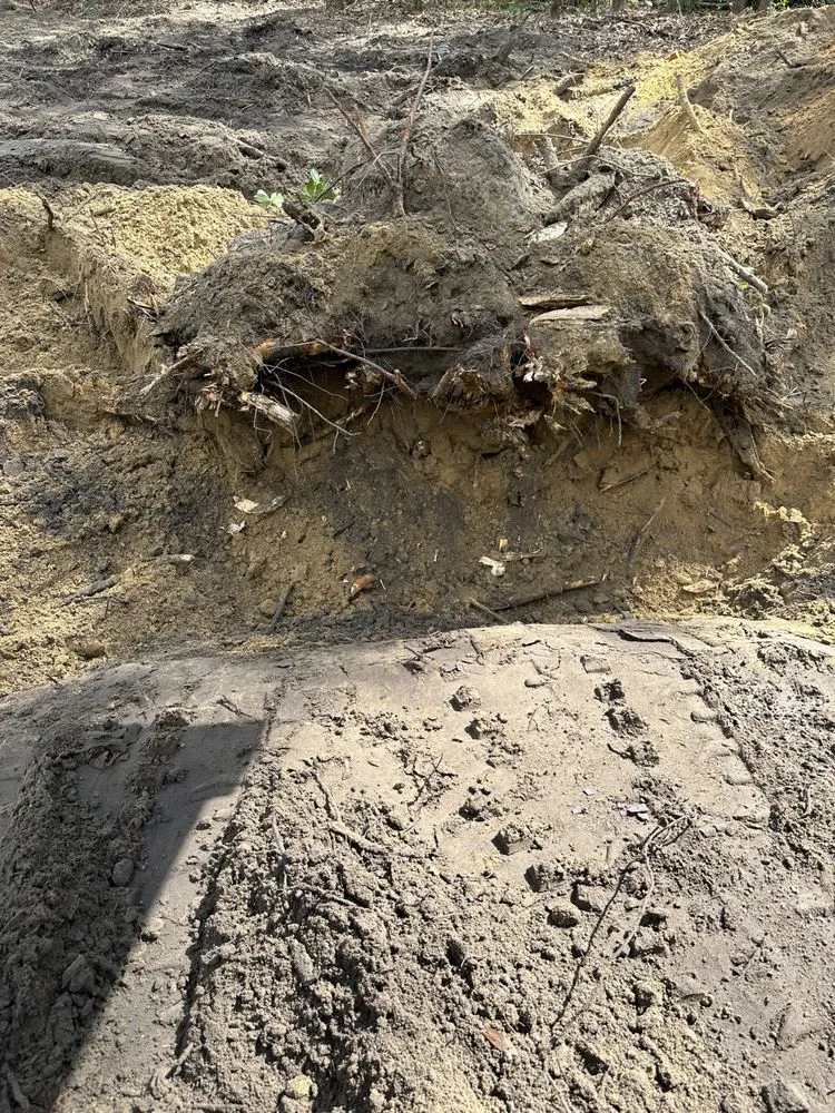 Top-rated lawn care service in tallahassee, FL - R And M Lawn And Land Services