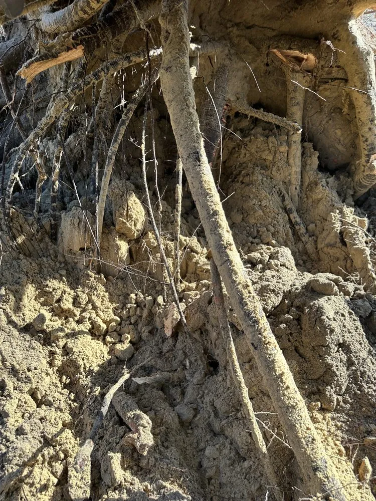 Trusted lawn care service experts serving tallahassee, FL - R And M Lawn And Land Services