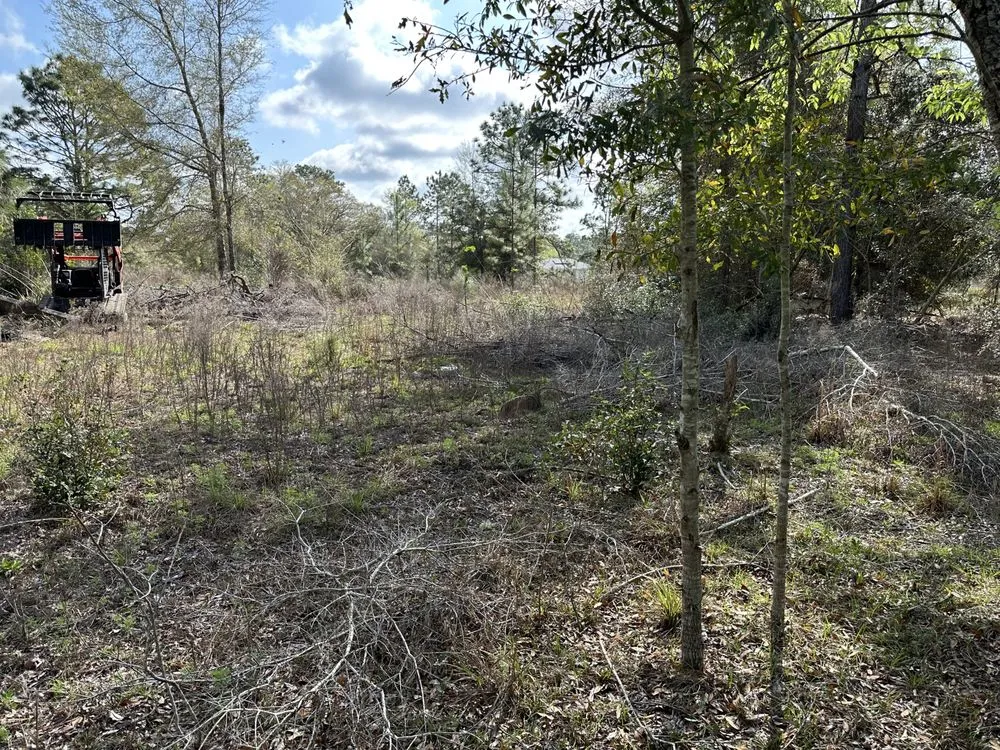 Professional lawn care service experts serving tallahassee, FL - R And M Lawn And Land Services