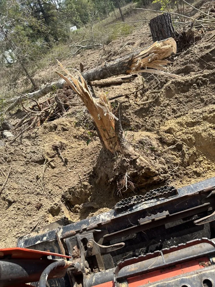 Local yard maintenance for residential properties across tallahassee, FL - R And M Lawn And Land Services