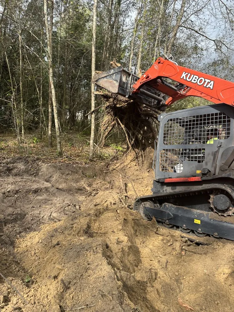 Local landscaping services in tallahassee, FL by R And M Lawn And Land Services