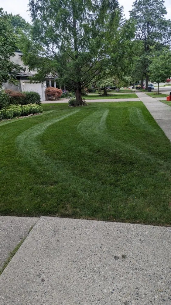 Trusted yard cleanup service experts serving Livonia, MI - R And O Lawncare