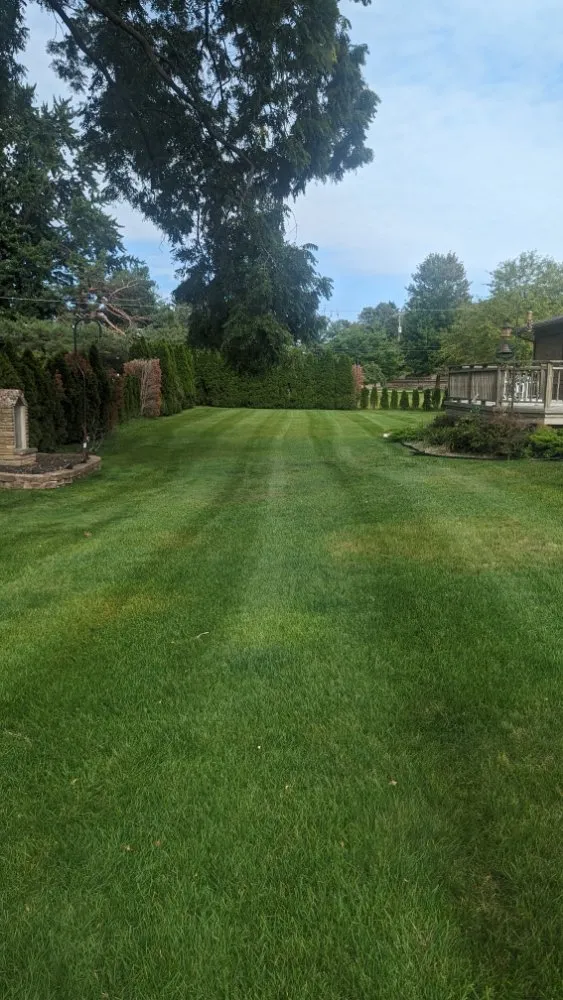 Trusted landscaping services for homes in Livonia, MI by R And O Lawncare