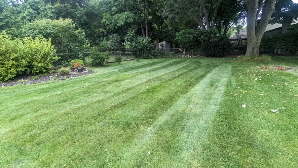 Top-rated lawn mowing service experts serving Livonia, MI - R And O Lawncare