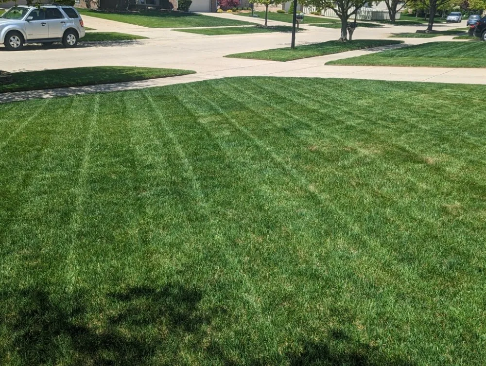 Top-rated landscape installation in Livonia, MI by R And O Lawncare