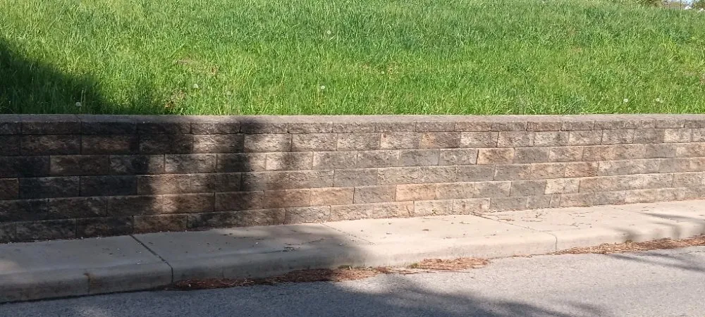 Top-rated yard cleanup service in Weirton, WV by R and P Pro Construction