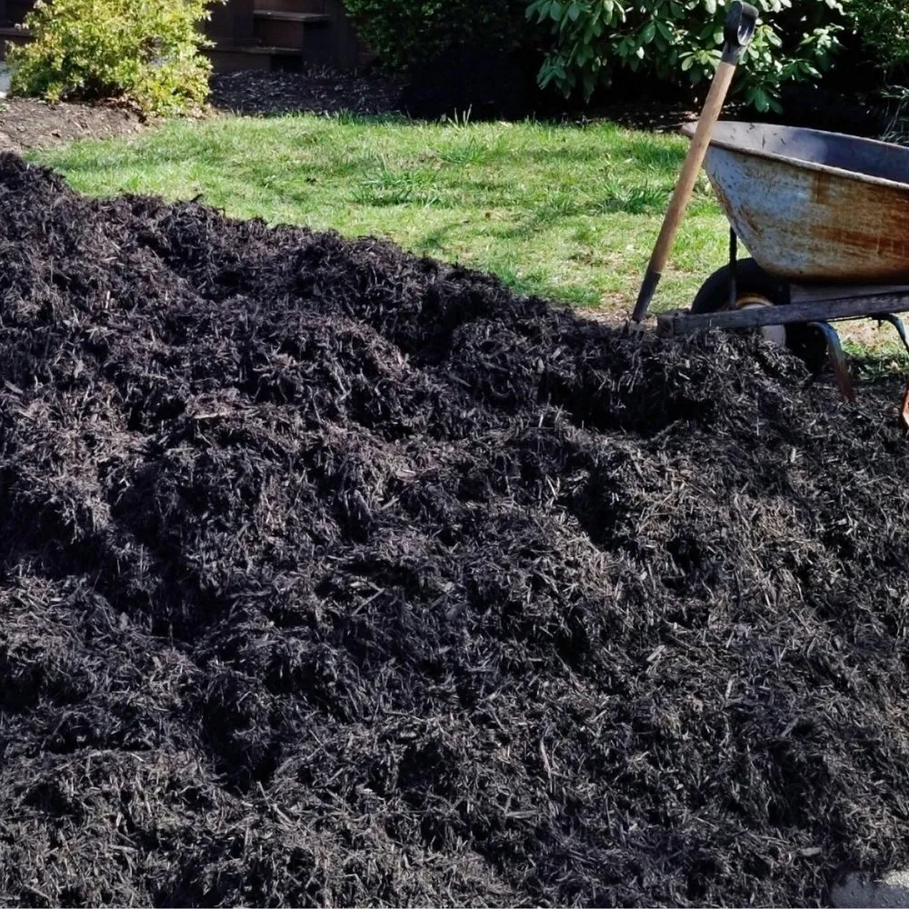 Professional yard maintenance for residential properties in Weirton, WV by R and P Pro Construction