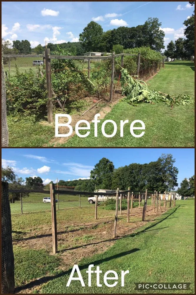 Affordable yard maintenance for outdoor upgrades in Dublin, VA by R and R Better Lawncare