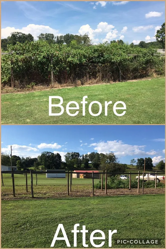 Top-rated residential landscaping for year-round maintenance across Dublin, VA - R and R Better Lawncare