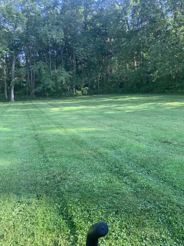 Local yard cleanup service in Flint, MI by R and R landcare