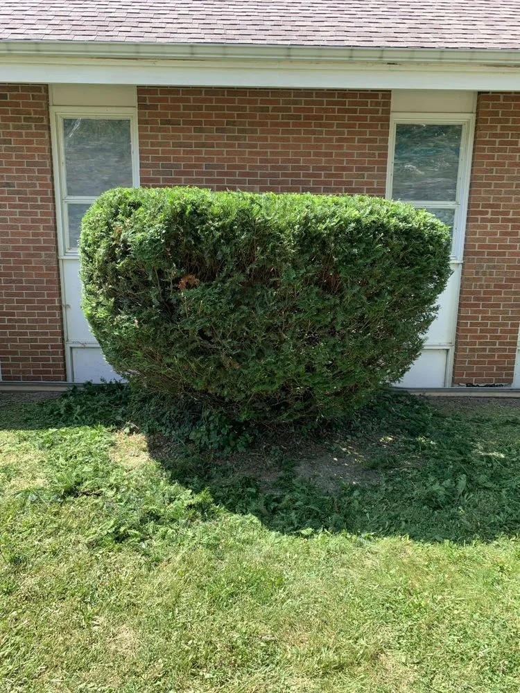 Professional lawn care service in Flint, MI by R and R landcare