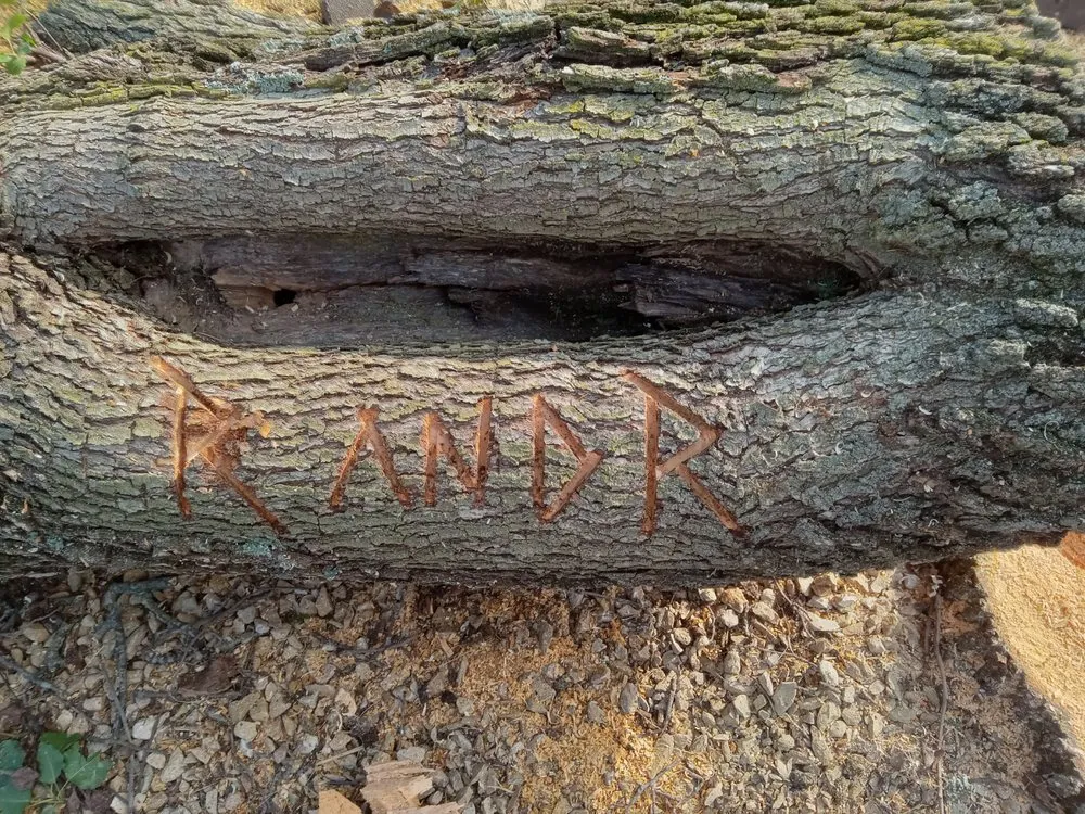 Top-rated landscape installation experts serving West Chester Township, OH - R And R Landscape And Tree Removal
