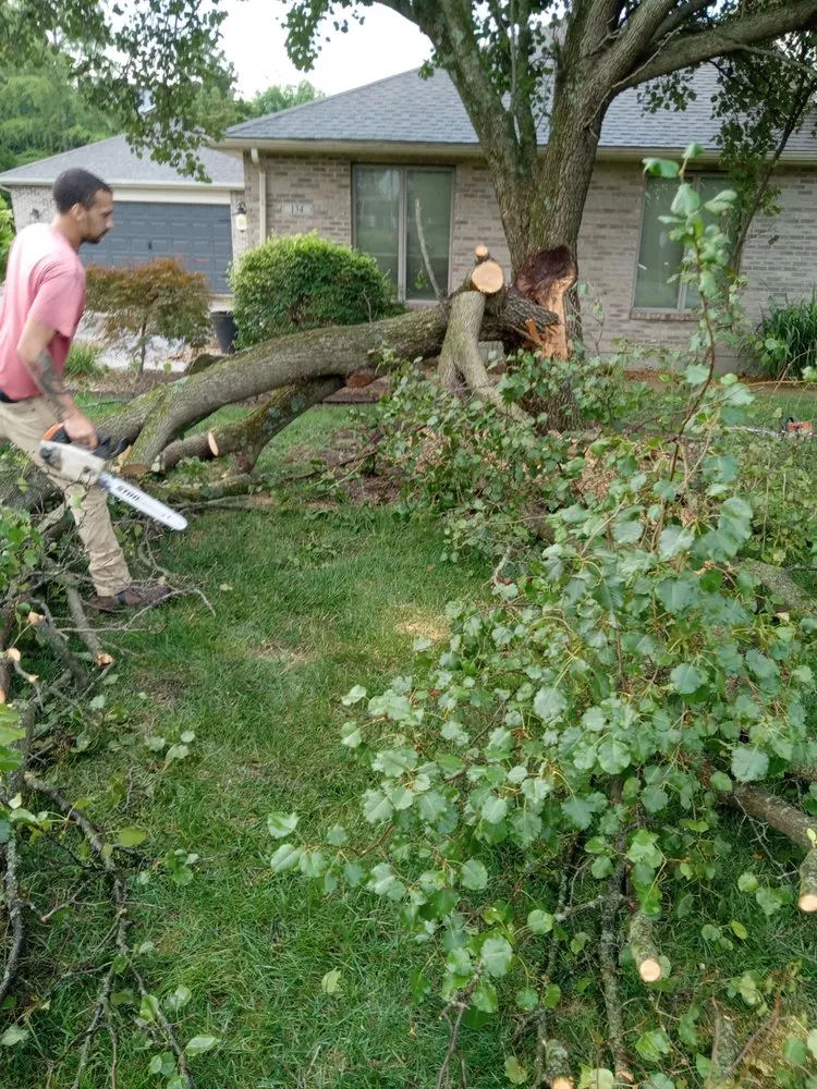 Expert yard cleanup service in West Chester Township, OH - R And R Landscape And Tree Removal