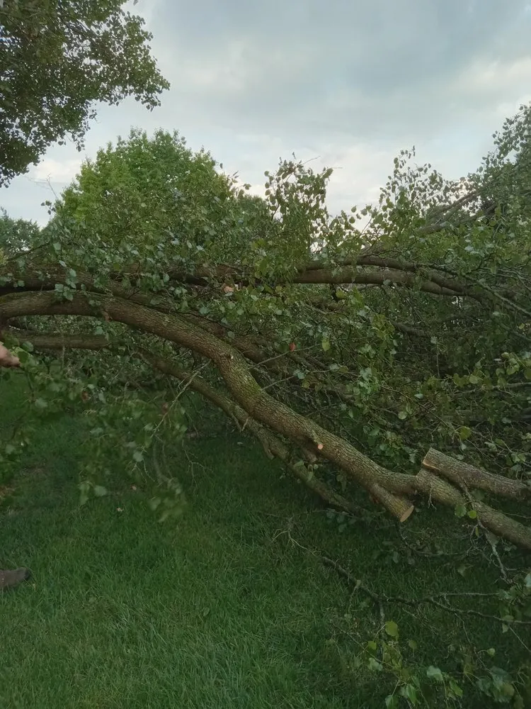 Expert yard maintenance experts serving West Chester Township, OH - R And R Landscape And Tree Removal