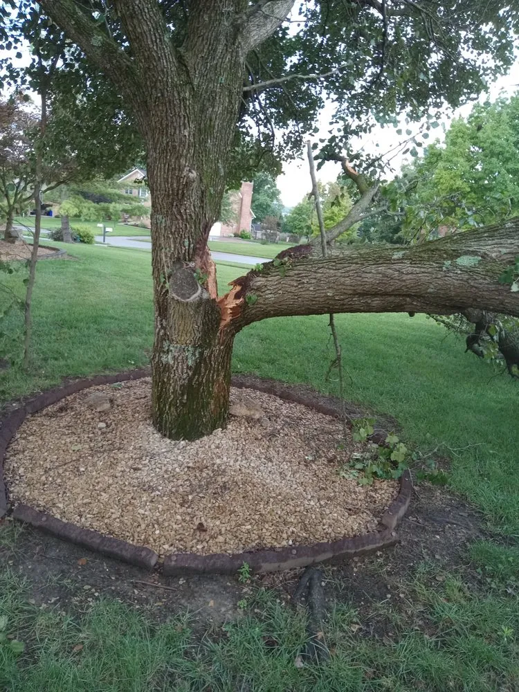 Professional yard maintenance for beautiful yards across West Chester Township, OH - R And R Landscape And Tree Removal