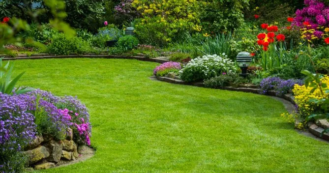 Local landscape design for outdoor upgrades across Mount Pleasant, NC - R And S Ground Management