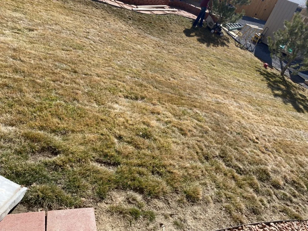 Expert landscape installation for outdoor upgrades in Pueblo, CO by R and S Lawn and Landscaping Service