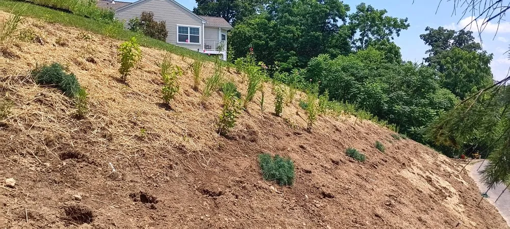 Custom garden landscaping experts serving Frederick, MD - R and V Lanscaping