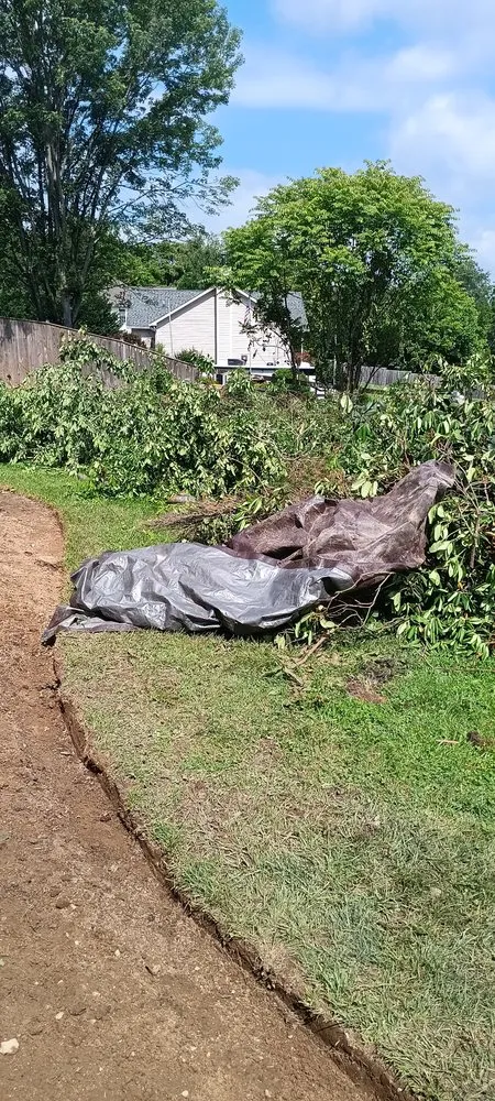 Expert landscape installation near you in Frederick, MD by R and V Lanscaping