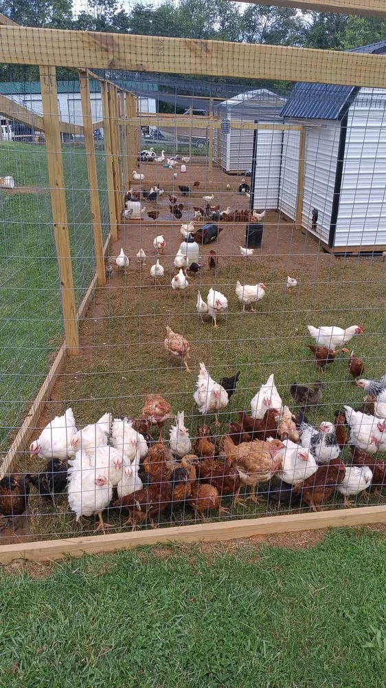 Expert garden landscaping in Frederick, MD - R and V Lanscaping