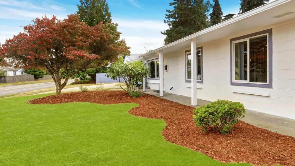 Top-rated yard cleanup service in Centreville, MD by R and Vs Landscaping