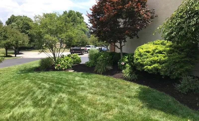 Local lawn mowing service in Centreville, MD by R and Vs Landscaping