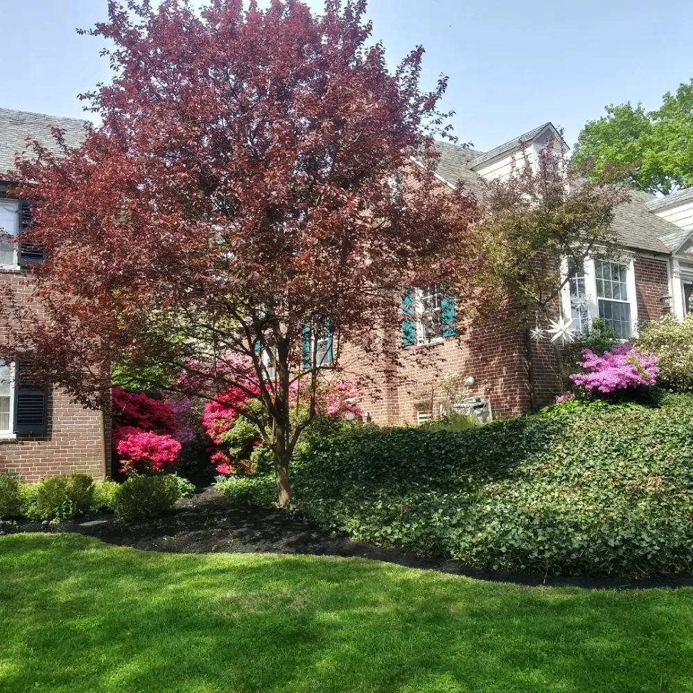 Professional lawn care service in Baltimore, MD by R B Professional Landscaping