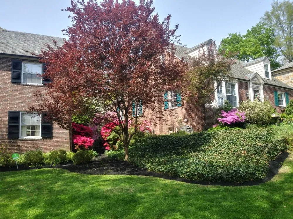 Affordable lawn care service for outdoor upgrades in Baltimore, MD by R B Professional Landscaping