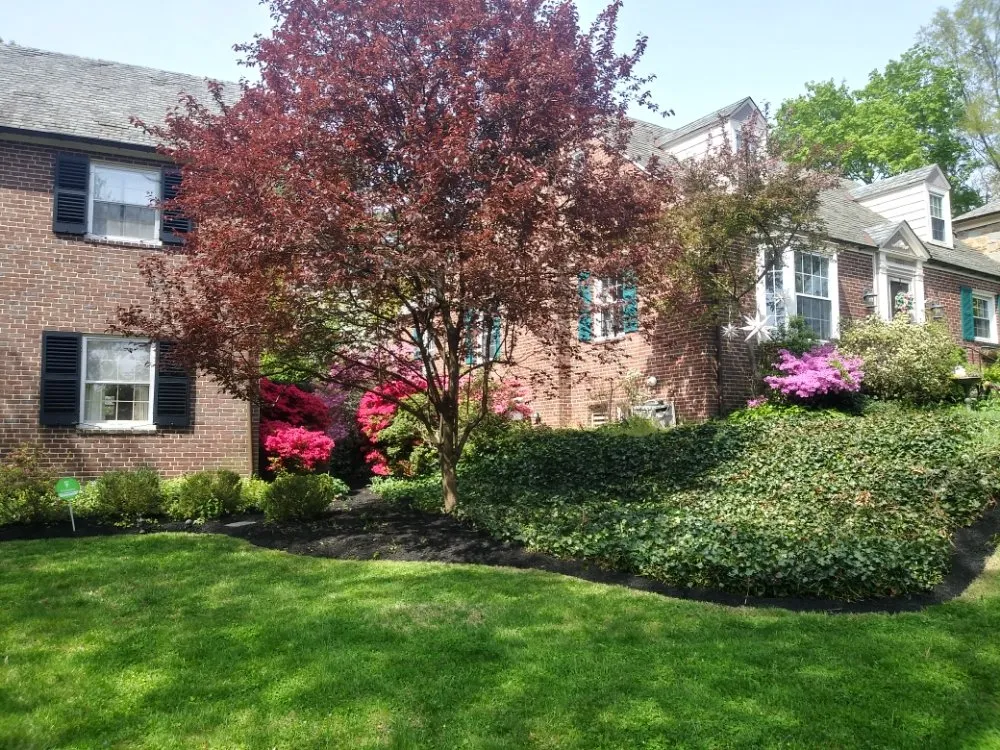 Reliable lawn care service experts serving Baltimore, MD - R B Professional Landscaping