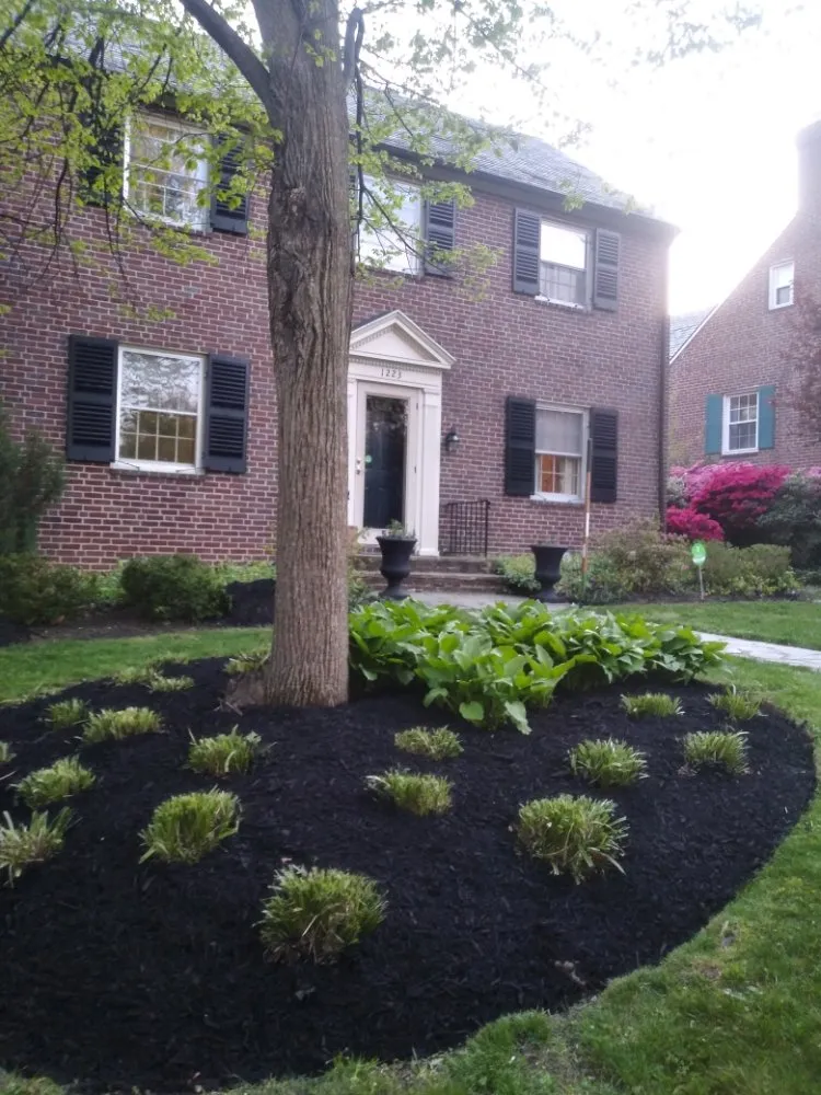 Reliable landscaping services in Baltimore, MD - R B Professional Landscaping