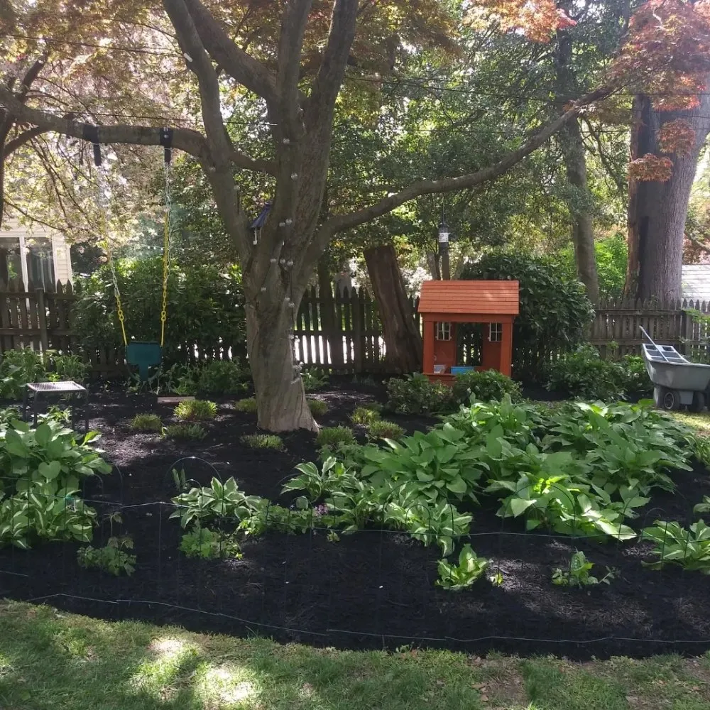 Custom lawn care service for year-round maintenance across Baltimore, MD - R B Professional Landscaping