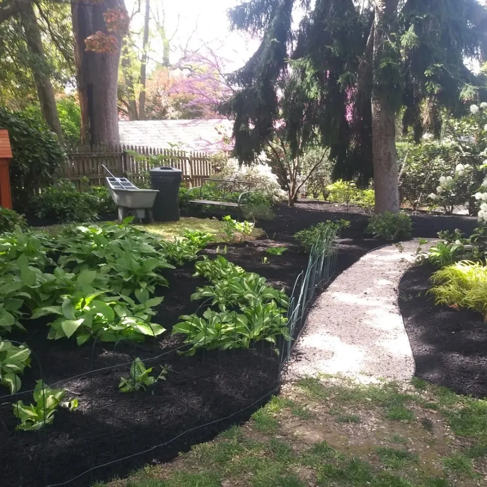 Top-rated landscaping services in Baltimore, MD - R B Professional Landscaping