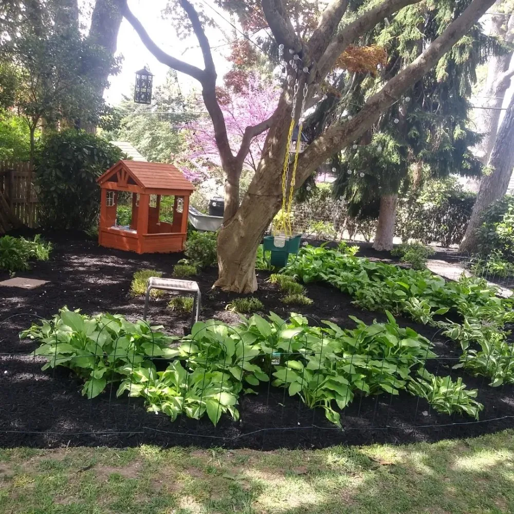 Custom yard maintenance for year-round maintenance across Baltimore, MD - R B Professional Landscaping