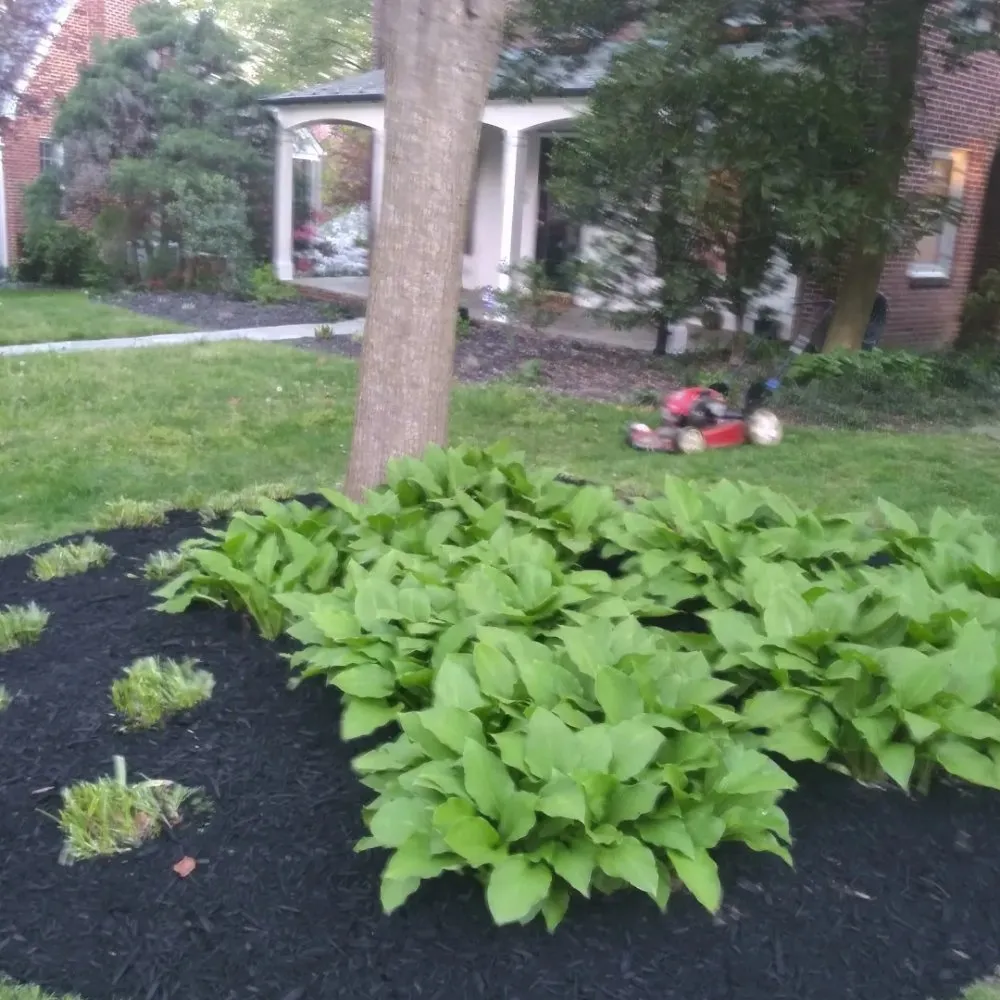 Top-rated yard maintenance for year-round maintenance across Baltimore, MD - R B Professional Landscaping