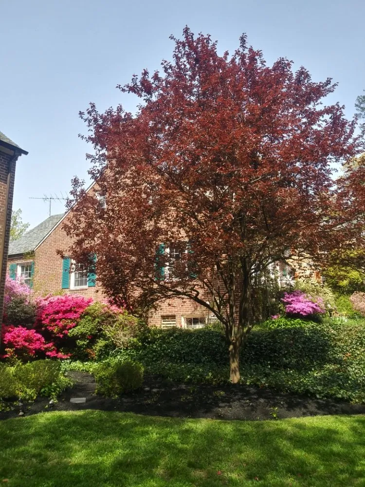 Trusted landscape installation experts serving Baltimore, MD - R B Professional Landscaping